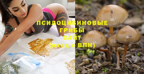 марки lsd Вяземский