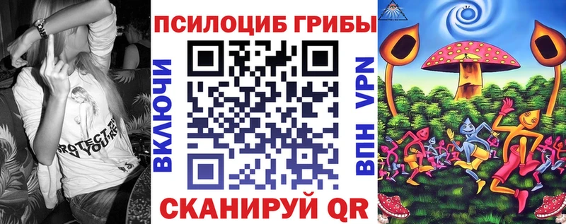 Псилоцибиновые грибы Psilocybe  дарнет шоп  Зеленодольск 